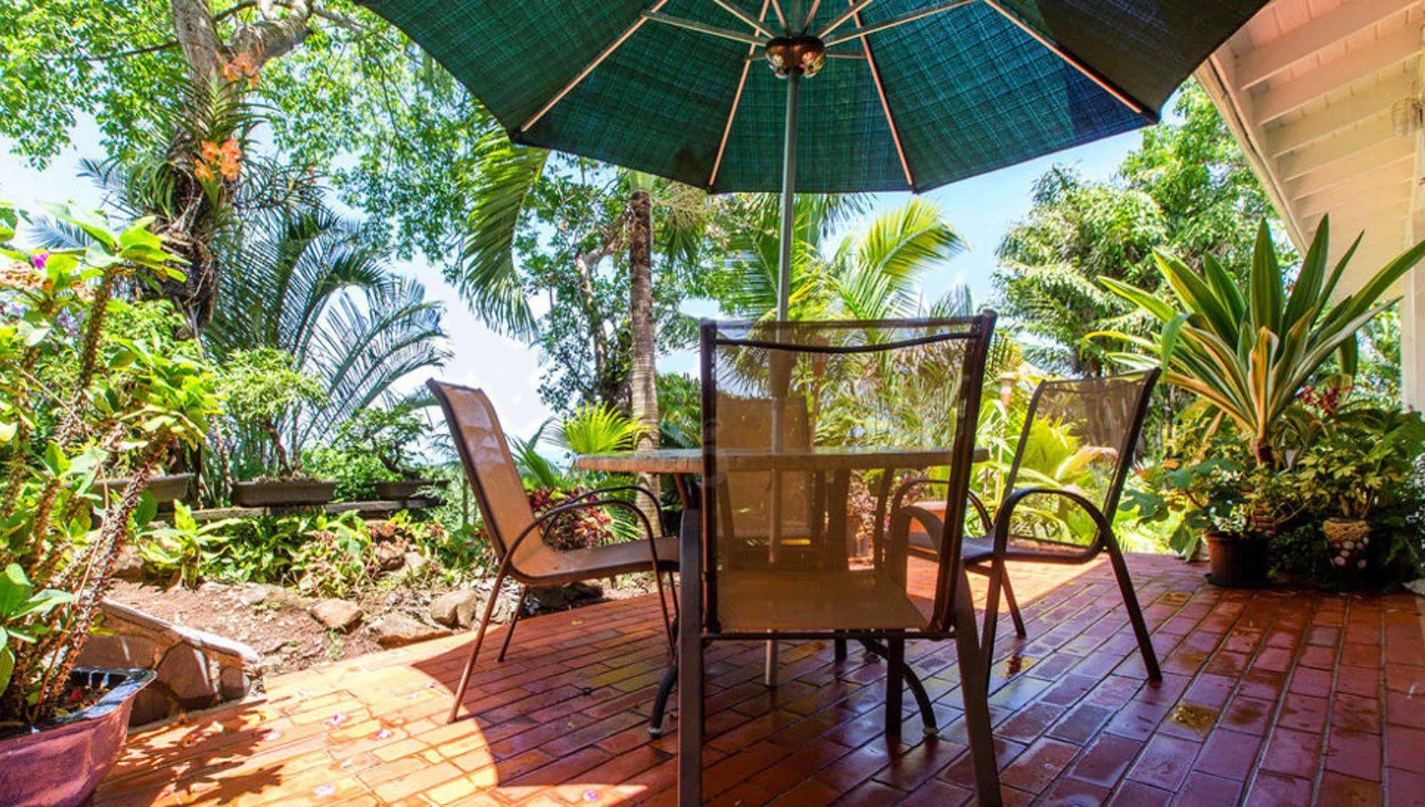 Bed and Breakfast Nature'S Paradise Маригот-Бэй Экстерьер фото